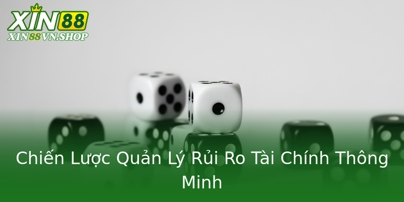 Chiến Lược Quản Lý Rủi Ro Tài Chính Thông Minh Chiến Lược Quản Lý Rủi Ro Tài Chính Thông Minh