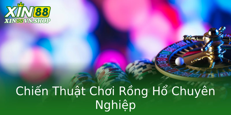 Chiến Thuật Chơi Rồng Hổ Chuyên Nghiệp Chiến Thuật Chơi Rồng Hổ Chuyên Nghiệp