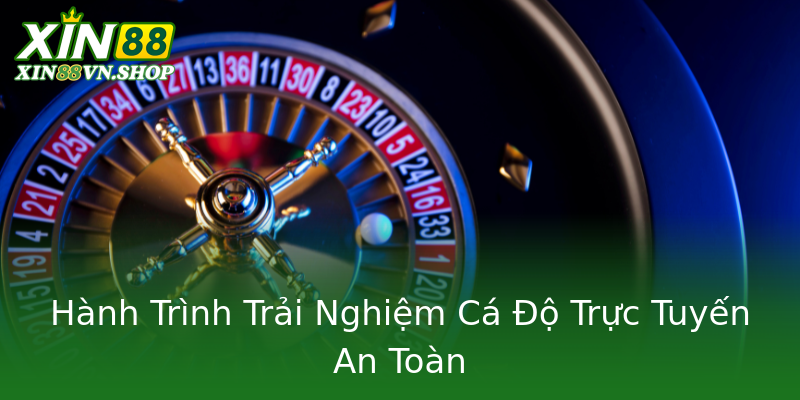 Hành Trình Trải Nghiệm Cá Độ Trực Tuyến An Toàn Hành Trình Trải Nghiệm Cá Độ Trực Tuyến An Toàn