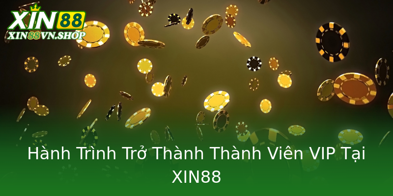 Hành Trình Trở Thành Thành Viên VIP Tại XIN88 Hành Trình Trở Thành Thành Viên VIP Tại XIN88