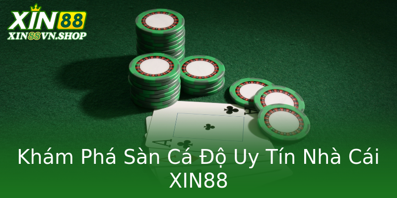 Khám Phá Sàn Cá Độ Uy Tín Nhà Cái XIN88 Khám Phá Sàn Cá Độ Uy Tín Nhà Cái XIN88