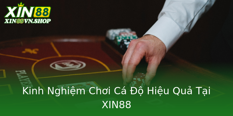 Kinh Nghiệm Chơi Cá Độ Hiệu Quả Tại XIN88 Kinh Nghiệm Chơi Cá Độ Hiệu Quả Tại XIN88