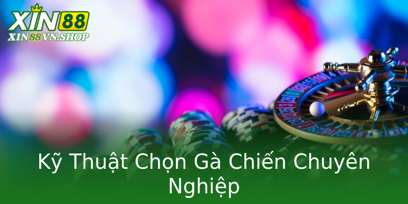 Kỹ Thuật Chọn Gà Chiến Chuyên Nghiệp Kỹ Thuật Chọn Gà Chiến Chuyên Nghiệp
