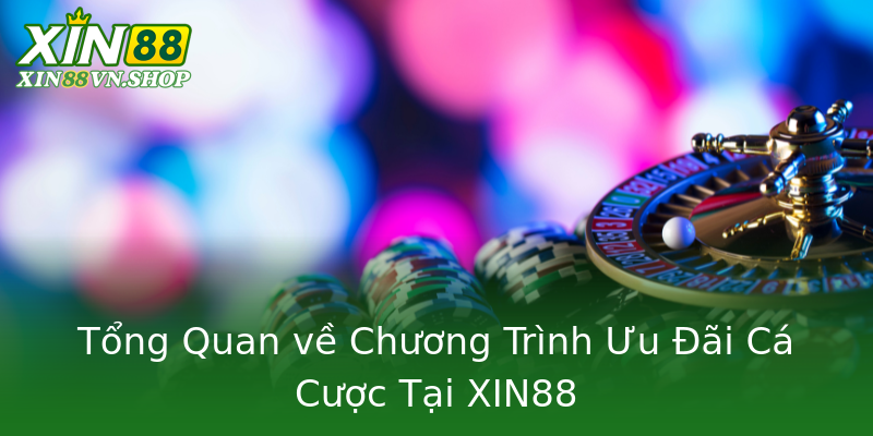 Tổng Quan về Chương Trình Ưu Đãi Cá Cược Tại XIN88 Tổng Quan về Chương Trình Ưu Đãi Cá Cược Tại XIN88