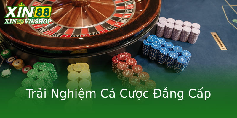 Trải Nghiệm Cá Cược Đẳng Cấp Trải Nghiệm Cá Cược Đẳng Cấp