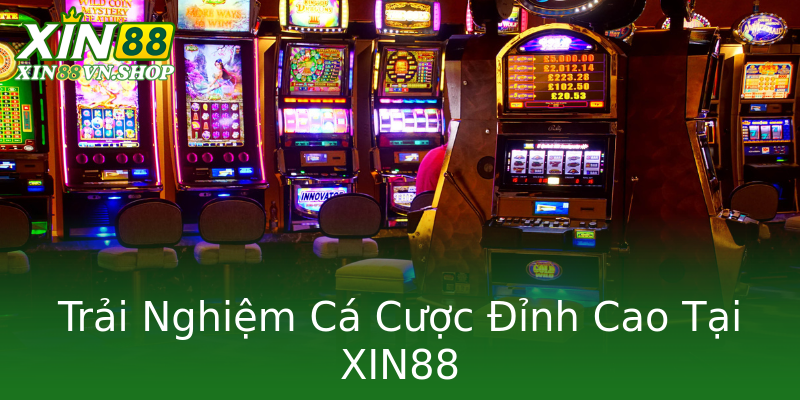 Trải Nghiệm Cá Cược Đỉnh Cao Tại XIN88 Trải Nghiệm Cá Cược Đỉnh Cao Tại XIN88